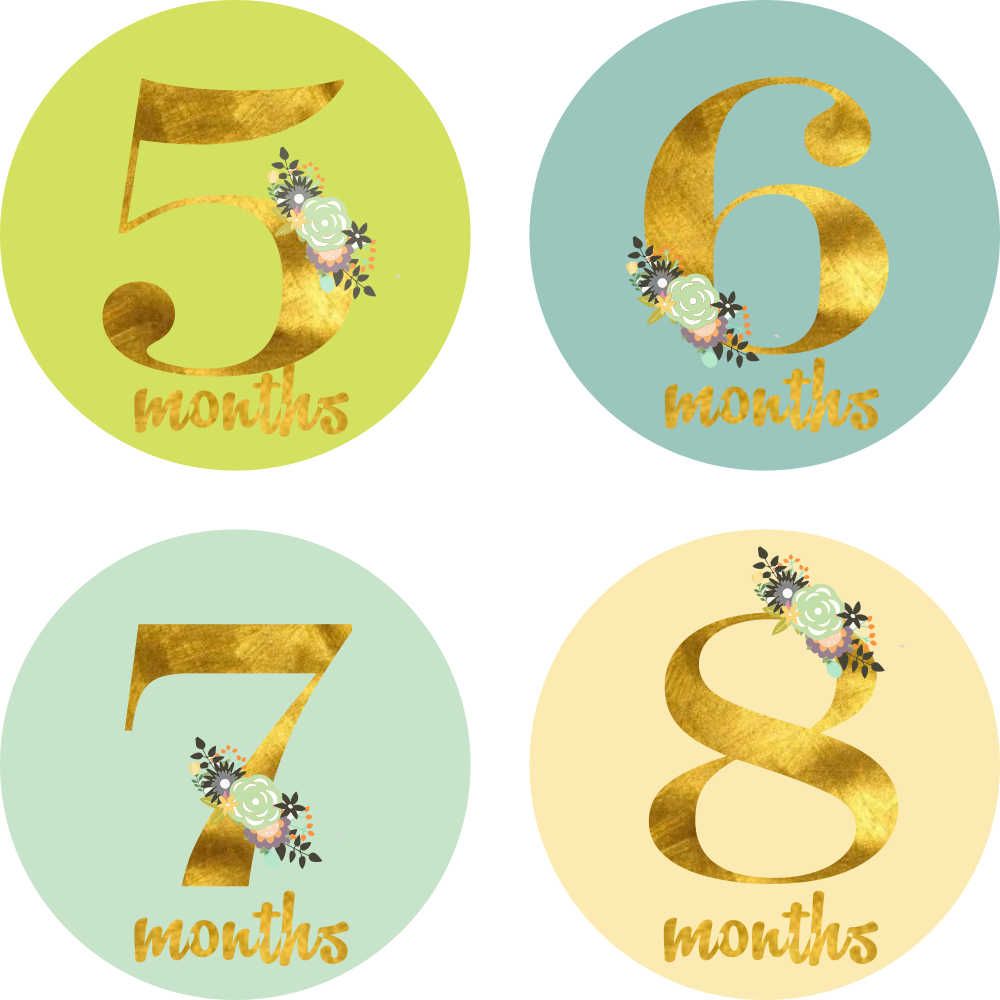 Monthly Milestone Stickers - Floral Theme