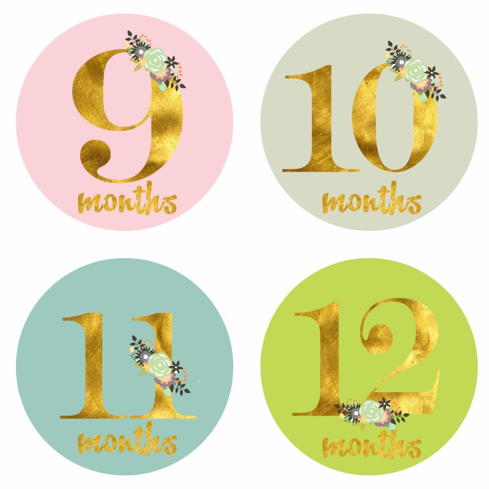 Monthly Milestone Stickers - Floral Theme