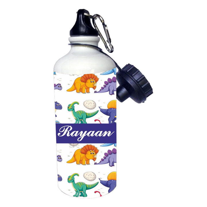 Sipper Bottles - Dinosaurs