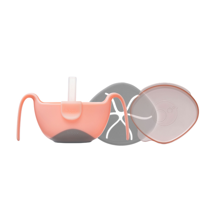 B.box Bowl + Straw set  Tutti Fruiti Light Pink - Sohii India